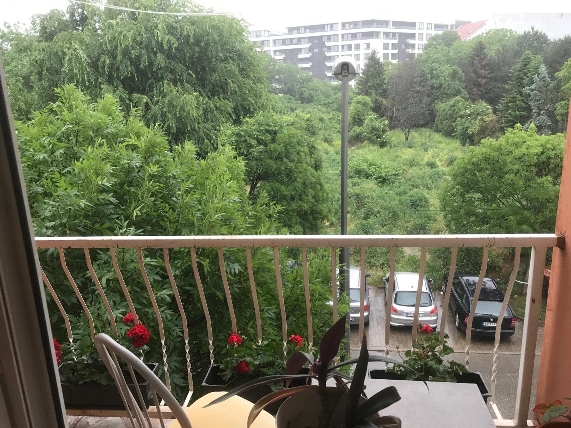 נובי סאד Studio Sajam מראה חיצוני תמונה